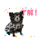ウユ アンジュ イブ ちゃんのスタンプです（個別スタンプ：3）