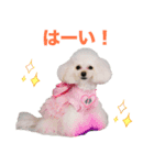 ウユ アンジュ イブ ちゃんのスタンプです（個別スタンプ：5）