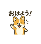 もふもふコーギーのスタンプセット（個別スタンプ：1）