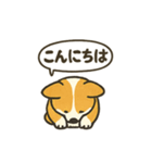もふもふコーギーのスタンプセット（個別スタンプ：2）