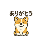 もふもふコーギーのスタンプセット（個別スタンプ：3）