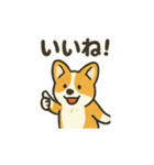 もふもふコーギーのスタンプセット（個別スタンプ：7）