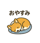 もふもふコーギーのスタンプセット（個別スタンプ：9）