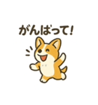 もふもふコーギーのスタンプセット（個別スタンプ：13）