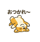 もふもふコーギーのスタンプセット（個別スタンプ：15）