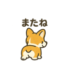 もふもふコーギーのスタンプセット（個別スタンプ：16）