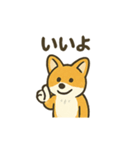 もふもふコーギーのスタンプセット（個別スタンプ：17）