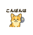 もふもふコーギーのスタンプセット（個別スタンプ：18）