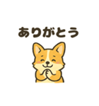 もふもふコーギーのスタンプセット（個別スタンプ：19）