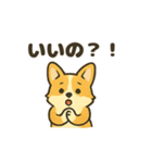 もふもふコーギーのスタンプセット（個別スタンプ：20）