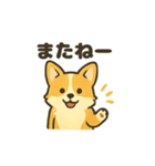もふもふコーギーのスタンプセット（個別スタンプ：21）