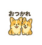 もふもふコーギーのスタンプセット（個別スタンプ：22）
