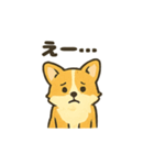 もふもふコーギーのスタンプセット（個別スタンプ：23）