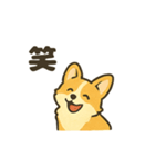 もふもふコーギーのスタンプセット（個別スタンプ：25）