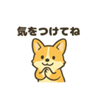 もふもふコーギーのスタンプセット（個別スタンプ：28）