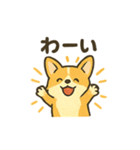 もふもふコーギーのスタンプセット（個別スタンプ：30）