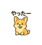 もふもふコーギーのスタンプセット（個別スタンプ：31）