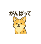 もふもふコーギーのスタンプセット（個別スタンプ：32）