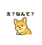 もふもふコーギーのスタンプセット（個別スタンプ：34）