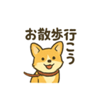 もふもふコーギーのスタンプセット（個別スタンプ：35）