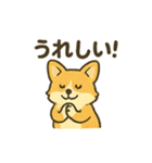 もふもふコーギーのスタンプセット（個別スタンプ：37）
