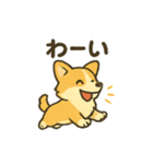もふもふコーギーのスタンプセット（個別スタンプ：38）