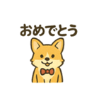 もふもふコーギーのスタンプセット（個別スタンプ：39）