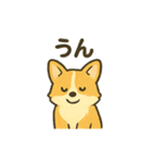 もふもふコーギーのスタンプセット（個別スタンプ：40）