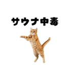 サウナ行きたい猫（個別スタンプ：7）