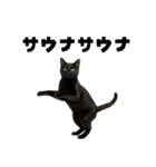 サウナ行きたい猫（個別スタンプ：14）