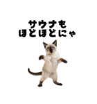 サウナ行きたい猫（個別スタンプ：19）