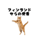 サウナ行きたい猫（個別スタンプ：21）
