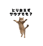 サウナ行きたい猫（個別スタンプ：22）