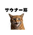 サウナ行きたい猫（個別スタンプ：30）