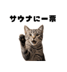 サウナ行きたい猫（個別スタンプ：31）