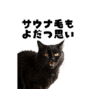 サウナ行きたい猫（個別スタンプ：32）