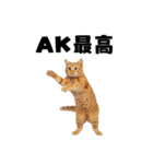 ポーカー好きの猫（個別スタンプ：9）