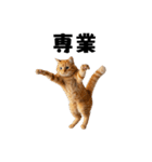 ポーカー好きの猫（個別スタンプ：23）