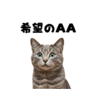 ポーカー好きの猫（個別スタンプ：25）