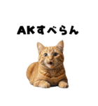 ポーカー好きの猫（個別スタンプ：27）