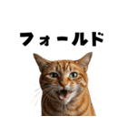 ポーカー好きの猫（個別スタンプ：30）