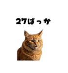 ポーカー好きの猫（個別スタンプ：36）