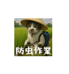 台湾猫の米作りと日本酒造り（日本語）（個別スタンプ：9）