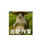 台湾猫の米作りと日本酒造り（日本語）（個別スタンプ：10）