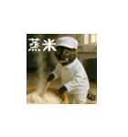 台湾猫の米作りと日本酒造り（日本語）（個別スタンプ：16）