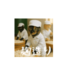 台湾猫の米作りと日本酒造り（日本語）（個別スタンプ：17）