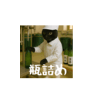 台湾猫の米作りと日本酒造り（日本語）（個別スタンプ：20）