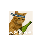 台湾猫の米作りと日本酒造り（日本語）（個別スタンプ：24）