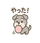ふわもこシュナさん 外遊びのご連絡（個別スタンプ：2）