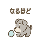 ふわもこシュナさん 外遊びのご連絡（個別スタンプ：3）